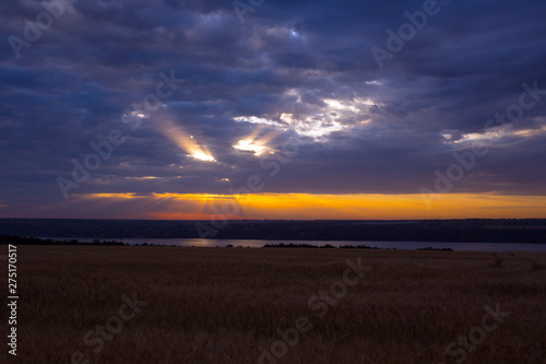 sunrise over the wheat field © Sergii Mostovyi