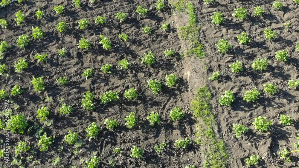 Top view agricultural plots in the countryside. Top view agricultural plots in the countryside.
