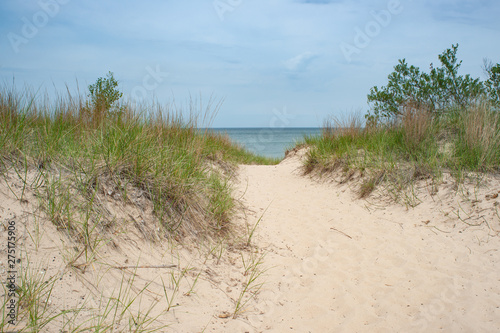Fototapeta Naklejka Na Ścianę i Meble -  Path through the Sand Dunes