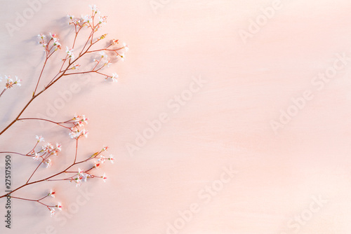 Sprigs with small white flowers on a wooden coral background with space for text - beautiful floral background
