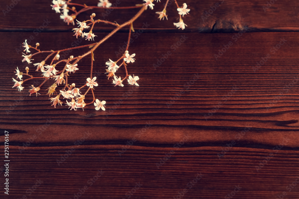 Sprigs with small white flowers on a dark wooden background with space for text Sprigs with small white flowers on a dark wooden background with space for text