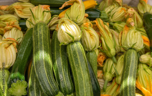 Lots of zucchini and summer squash with blossoms full frame.