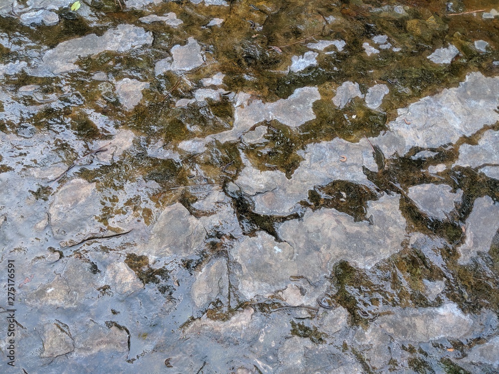 Wet stone background or texture. Wet stone background or texture.
