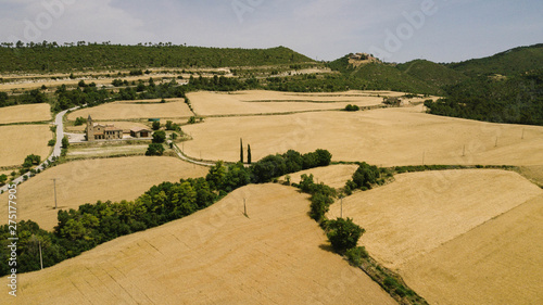 Aerial view of yellow wheat fields ready for harvest photo