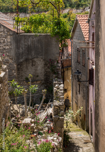 Fototapeta Naklejka Na Ścianę i Meble -  Narrow street with rustic houses and homes in the coastal town of Novigrad in Croatia