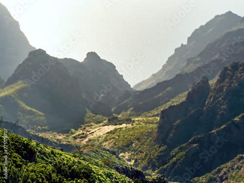  View from above into the mountains of Masca, in the Teno mountains in Tenerife