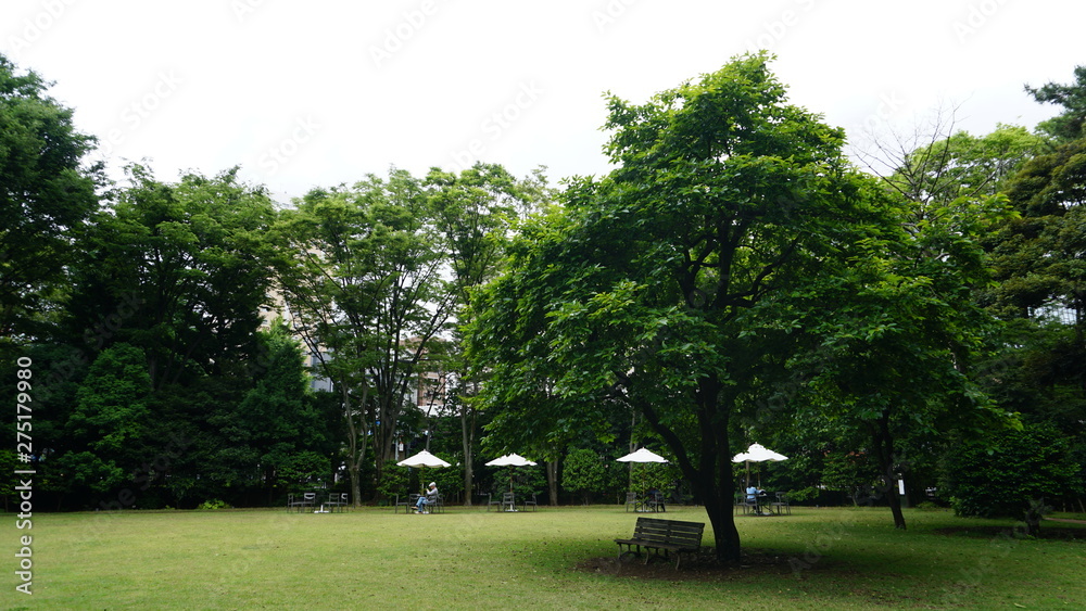 庭園 庭園