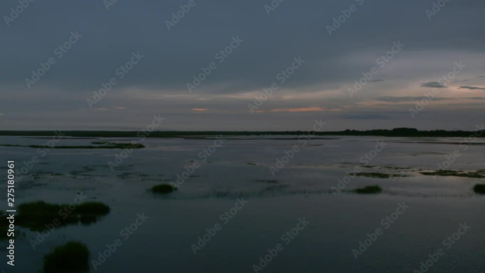 Handheld, panning, wide shot of standing water in thick marsh area. Handheld, panning, wide shot of standing water in thick marsh area.