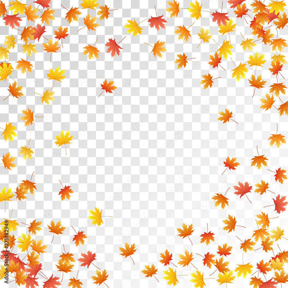 Fototapeta premium Maple leaves vector illustration, autumn foliage on transparent background.