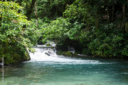Fototapeta Naklejka Na Ścianę i Meble -  river jungle trees nature waterfall water forest 