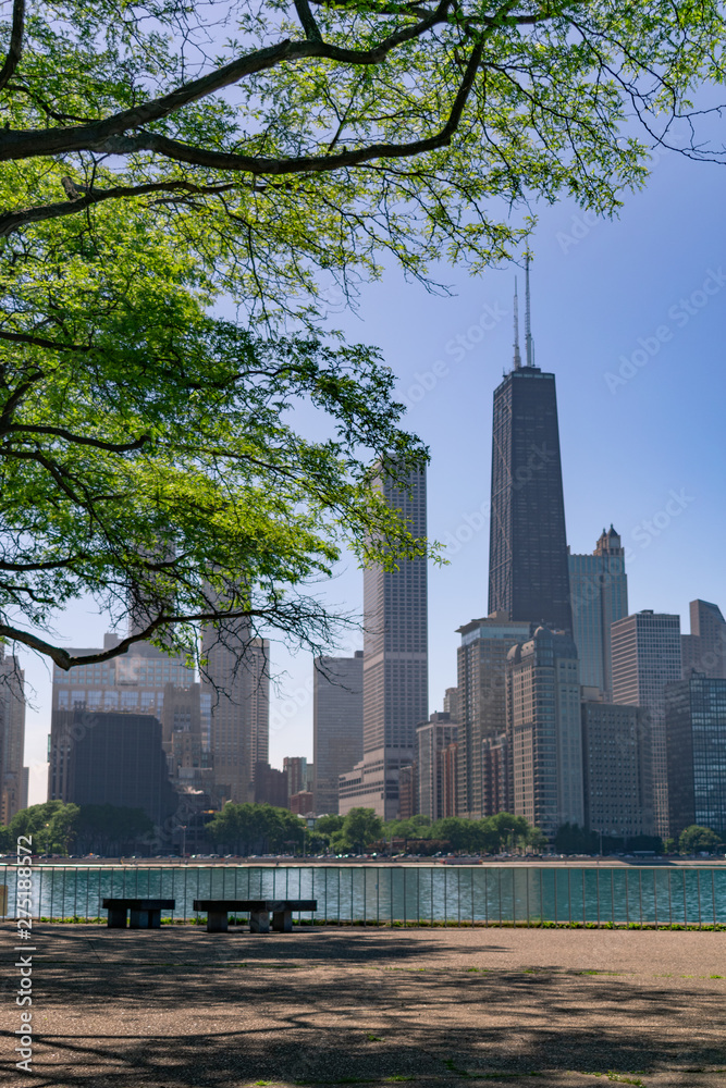 Fototapeta premium Chicago Skyline framed by a tree at Milton Lee Olive Park with Benches