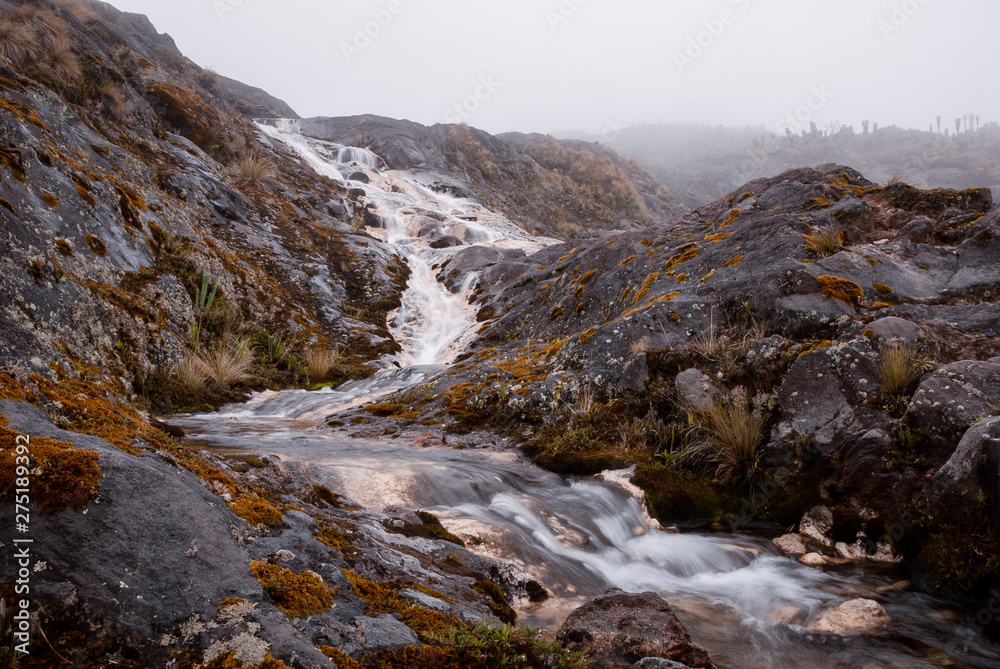 Parque natural los Nevados Caldas Tolima Quindio y Risaralda_Colombia
