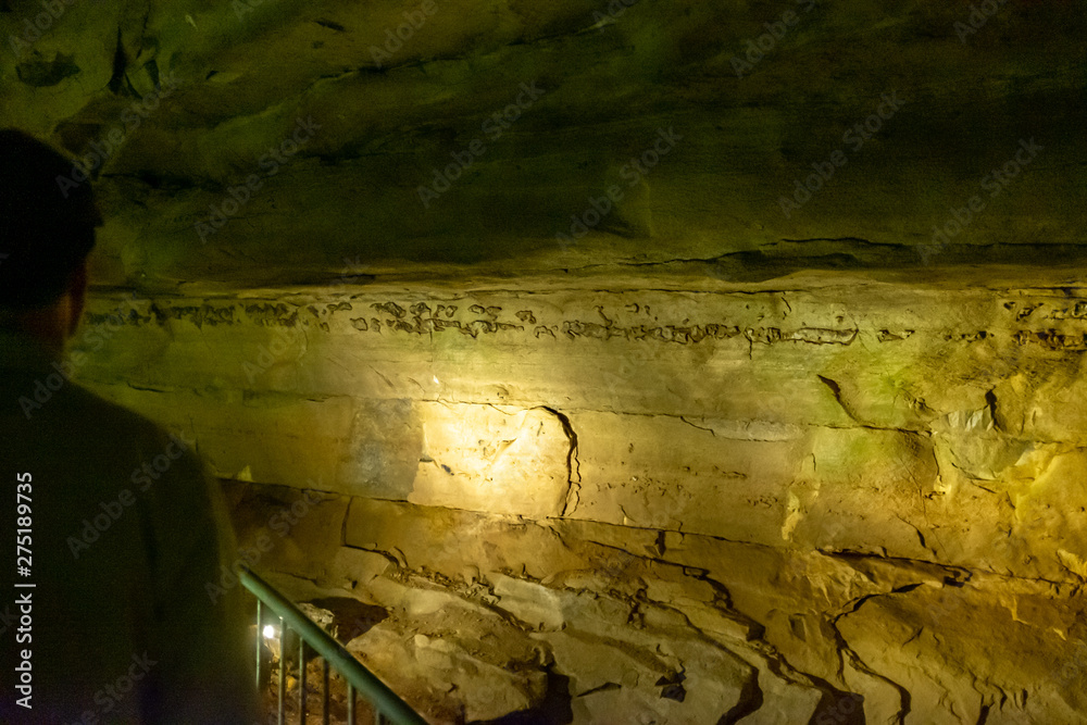 Obraz premium Cathedral Cavern State Park near Guntersville, Alabama, USA