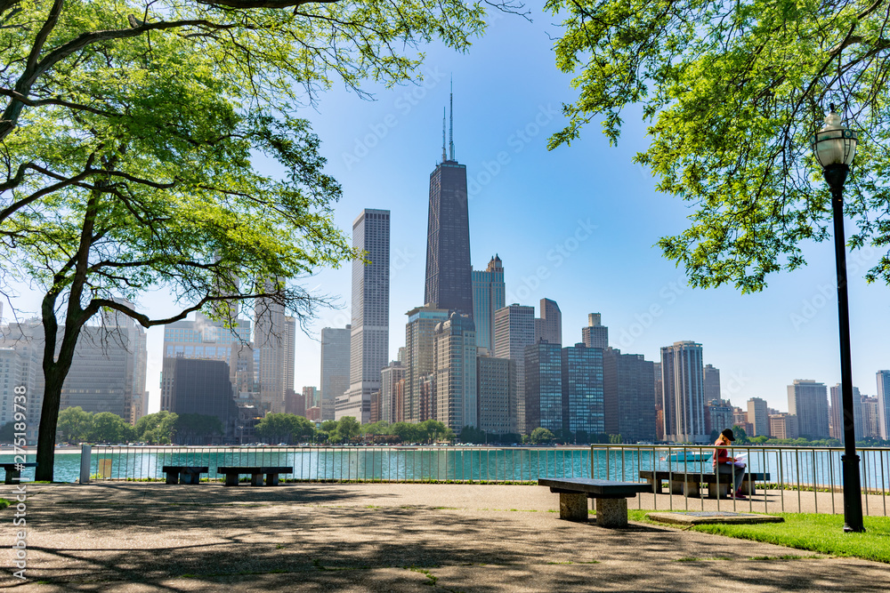 Fototapeta premium Chicago Skyline framed by trees at Milton Lee Olive Park with Benches