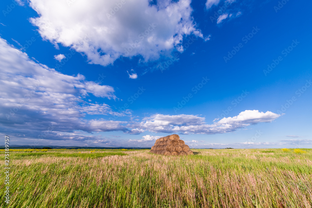 Obraz premium freshly bales of hay on autumn field with white clouds in blue sky