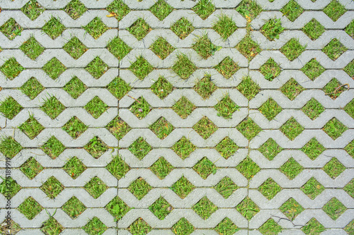 Geometric background of eco floor bricks and green grass. Eco parking texture