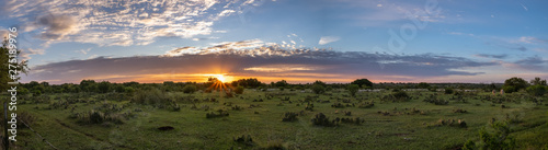 Sunrise over a Texan cactus filled field