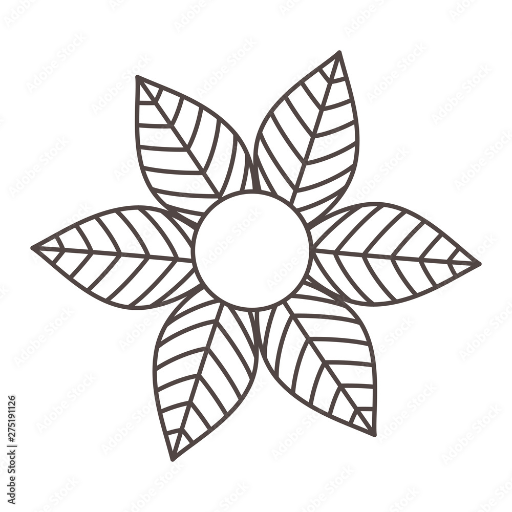 Isolated leaves design vector illustrator
