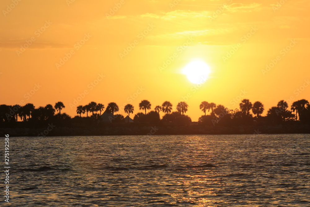 Sunset over palm trees, Florida,