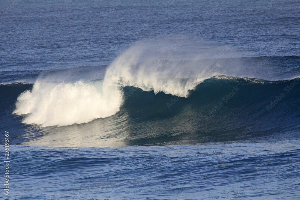 Wave  - Hawaii