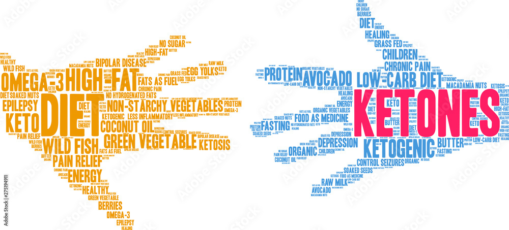 Ketones Word Cloud on a white background. 