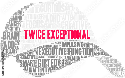 Twice Exceptional ADHD Word Cloud on a white background. 