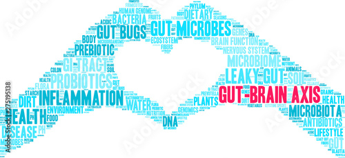 Gut-Brain Axis Word Cloud on a white background. 