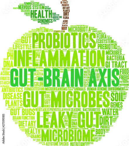 Gut-Brain Axis Word Cloud on a white background. 