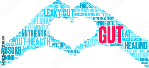 Gut Word Cloud on a white background. 