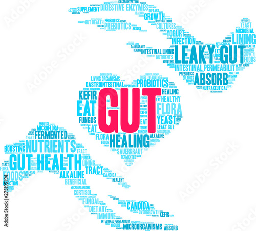 Gut Word Cloud on a white background. 