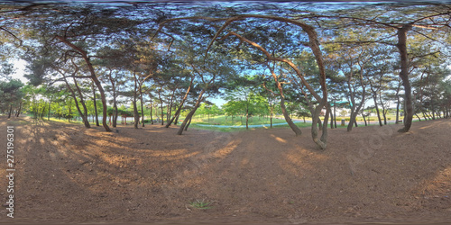 Ansan, South Korea - 12 June 2019. Panorama 360 degrees view in park. Forest and Park 360 image, VR AR content. photo