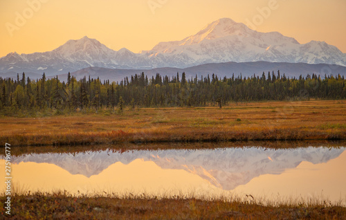 Sunrise colors above Mt. McKinley from Petersville road in Alaska