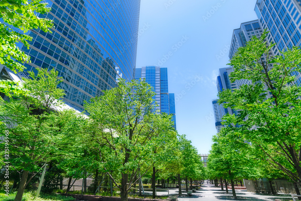 爽やかな緑のビジネス街 Stock Photo Adobe Stock