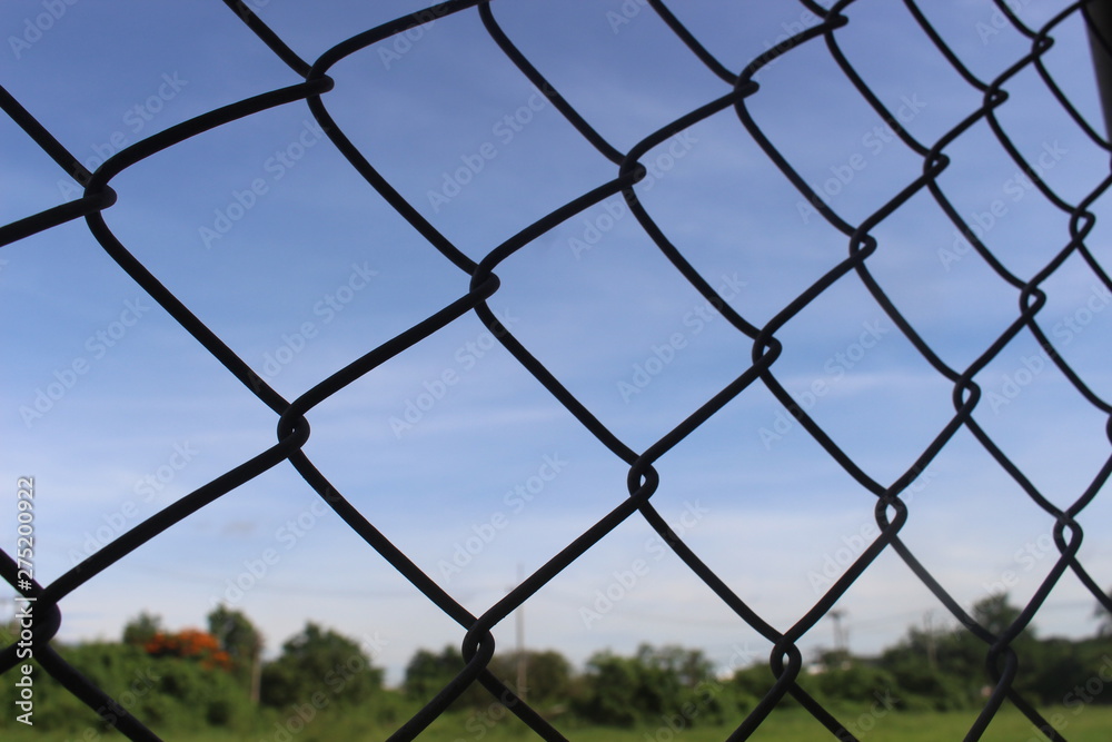 Fototapeta premium fence with barbed wire