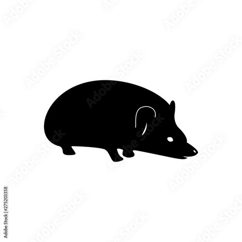 Hedgehog Silhouette Isolated on White Background