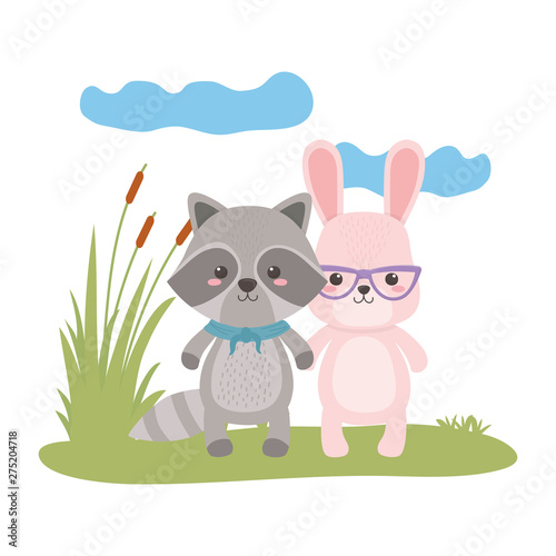 Rabbit and raccoon cartoon design