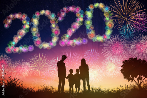 happy new year 2020 concepts. family watching fireworks  on hill