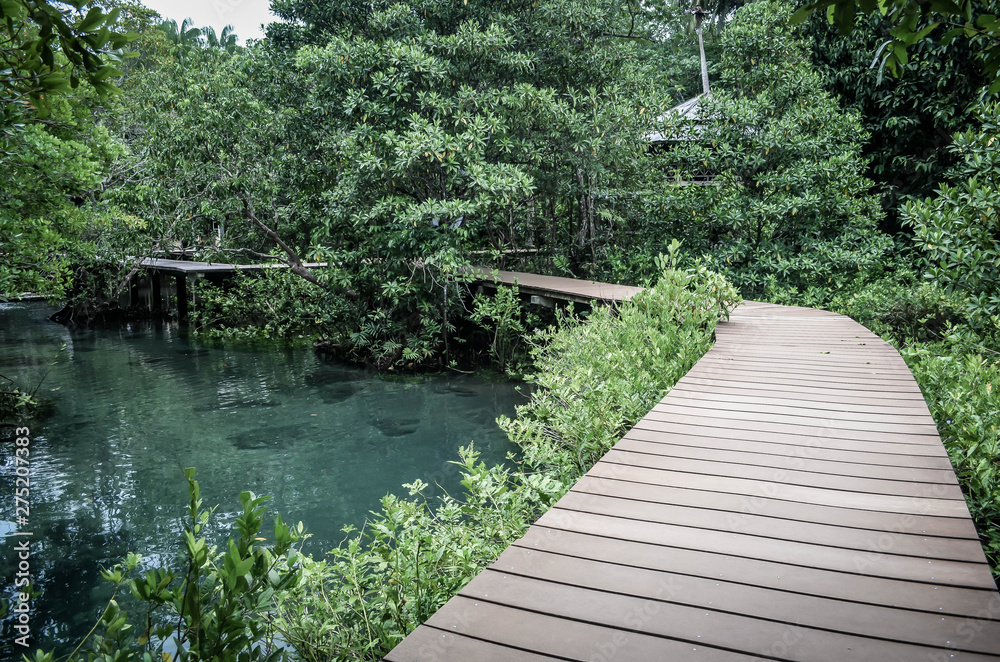Beautiful natural and river astonishing verdant forest in Thailand Beautiful natural and river astonishing verdant forest in Thailand
