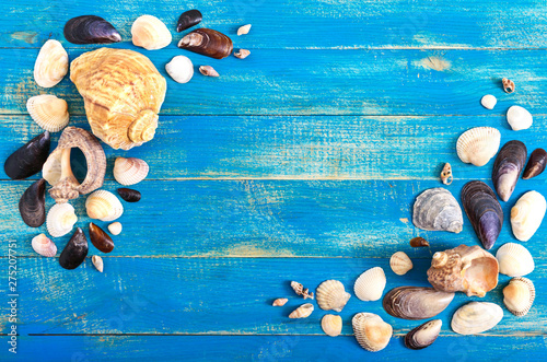 Tropical sea background. Different shells on the blue boards, top view. Free space for inscriptions. Summer theme.