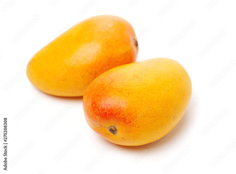 Mango on a white background Mango on a white background