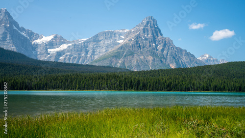 Wallpaper Mural Waterfowl Lakes Torontodigital.ca