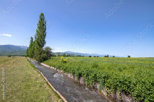 View of the central Tien Shan mountains in Kyrgyzstan with flowing water in the aryk and green fields photo