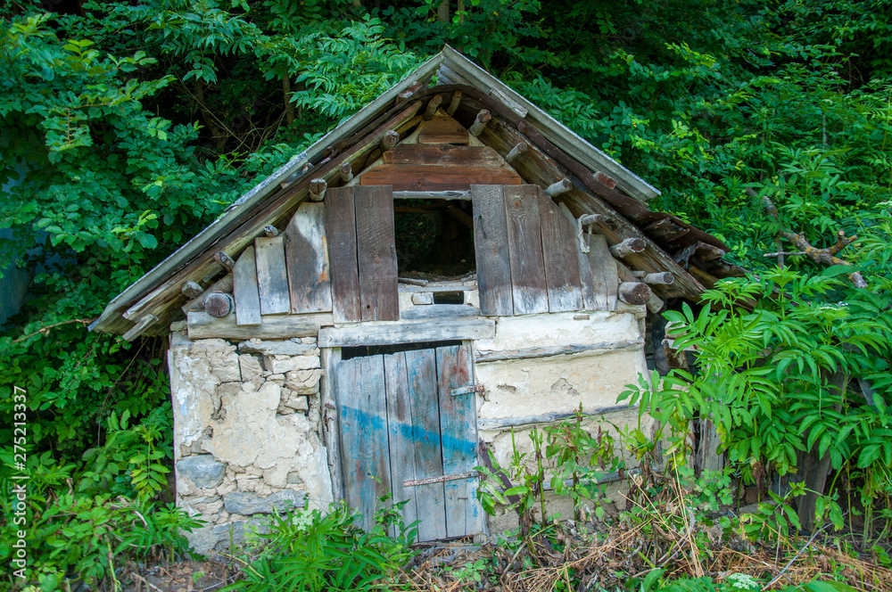 old little house with a wooden roof. In the forest near green trees. Summer