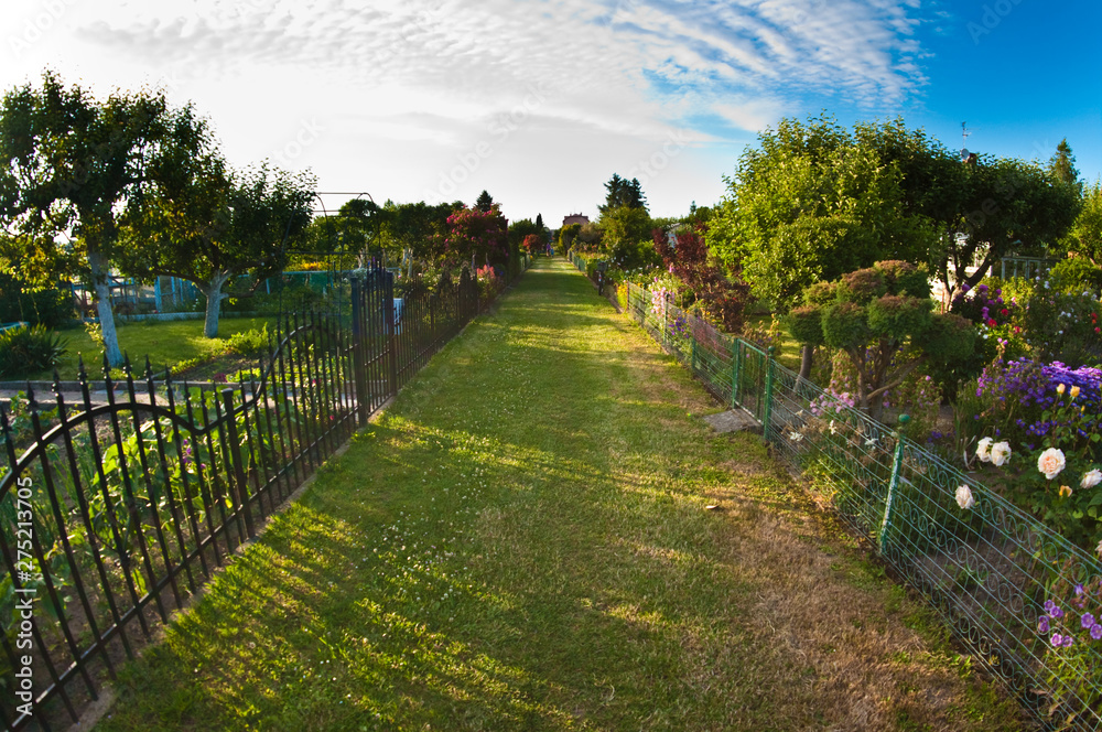 Obraz premium Communal garden in Poland, wide angle fish eye view.