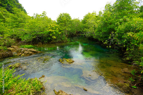 Wallpaper Mural Beautiful natural and river astonishing verdant forest in Thailand Torontodigital.ca