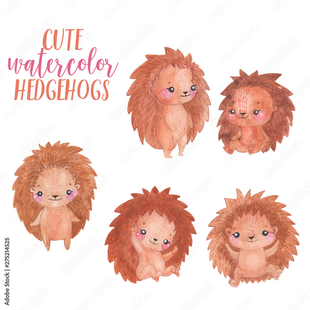 Watercolor hedgehogs set, Children Animal clipart