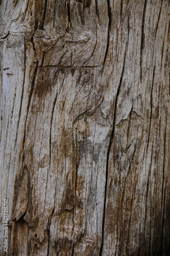 Wood, wood texture backbackground, old wood, wood texture vintage style
