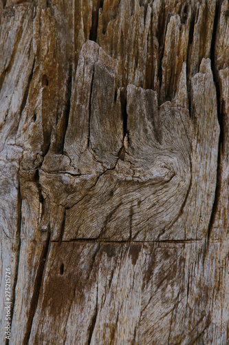 Wood, wood texture backbackground, old wood, wood texture vintage style