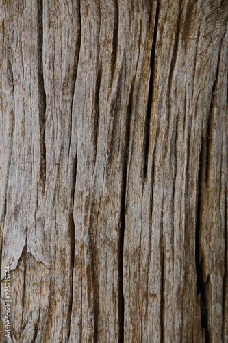 Wood, wood texture backbackground, old wood, wood texture vintage style