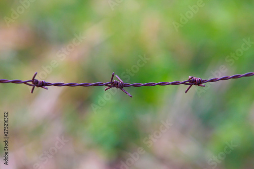 Barbed wire close up in natural background